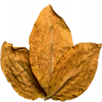 tobacco_PNG41